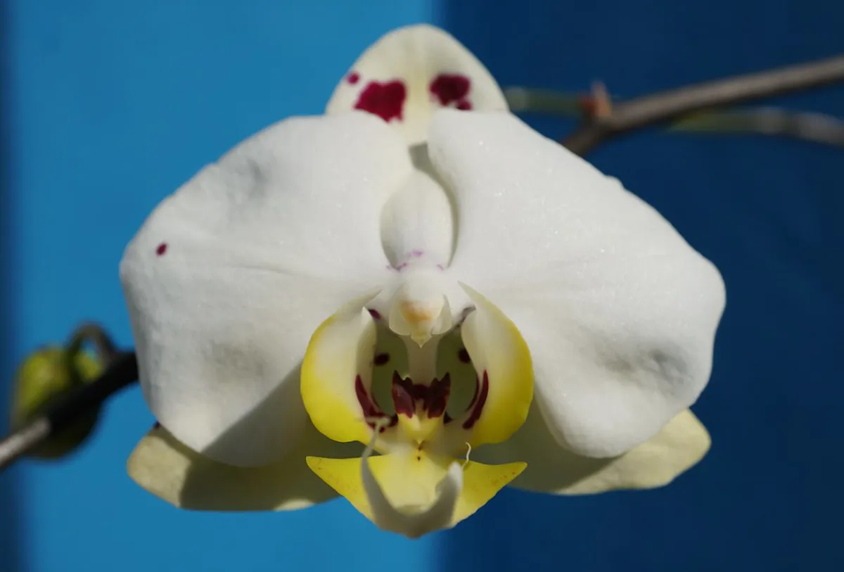 Must-See Spots on Cascais Walking Tours: 2-Day Guide