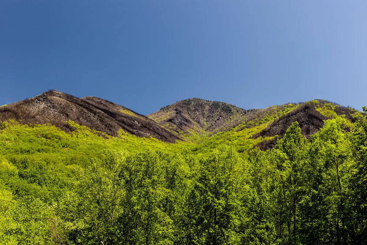 1-Day Historic Center Walking Route Coimbra Guide