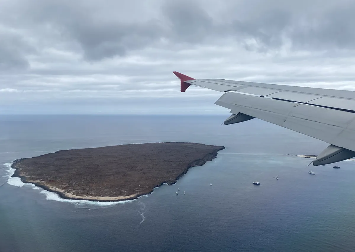 How to Book Walking Tours in Ericeira: 1-Day Guide