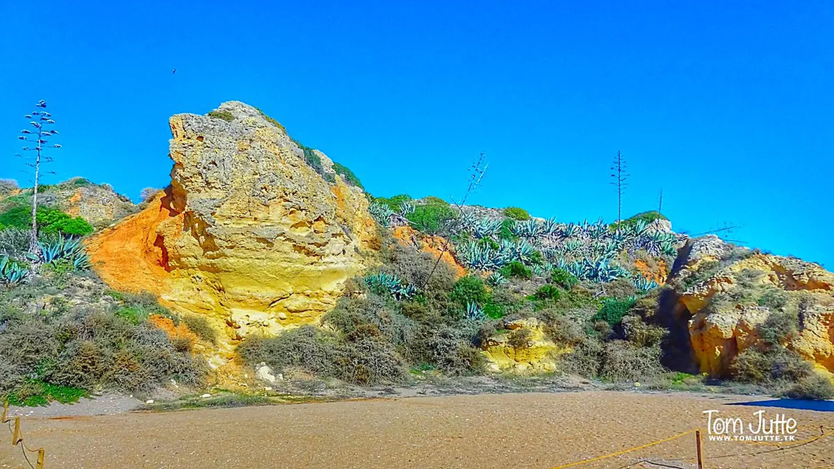 One-Day Old Town Faro Walking Tour Itinerary