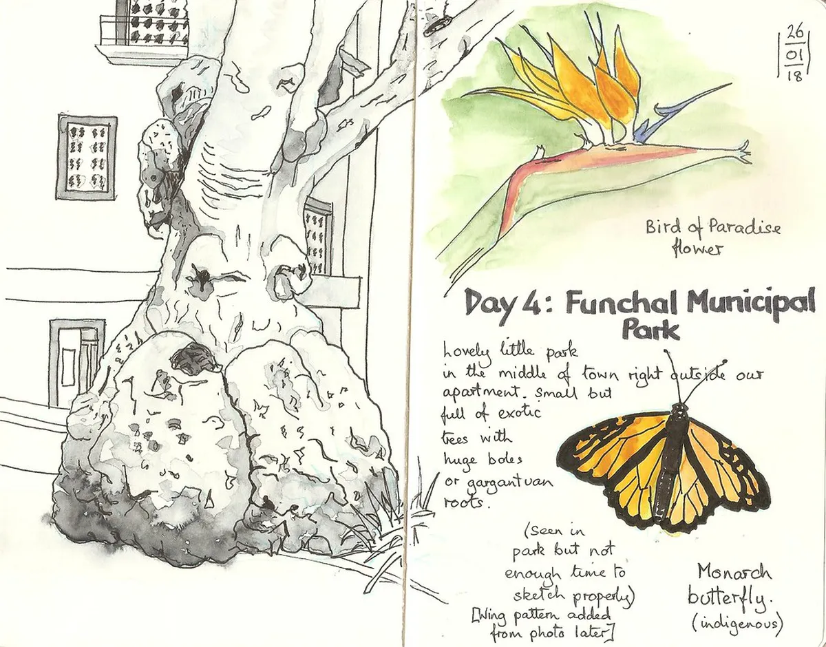 Funchal Old Town Walking Tour Route: 1-Day Local Guide