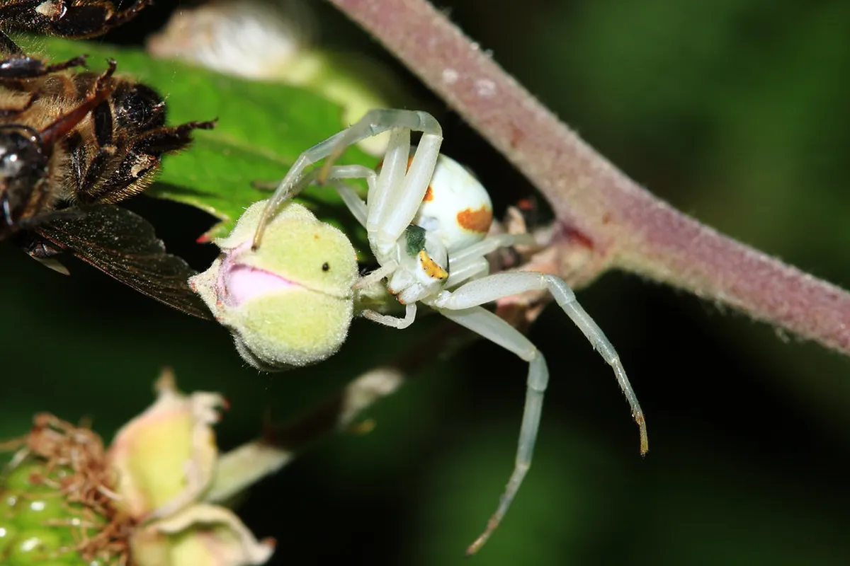 How to Find Funchal Tour Location: Step-by-Step Guide