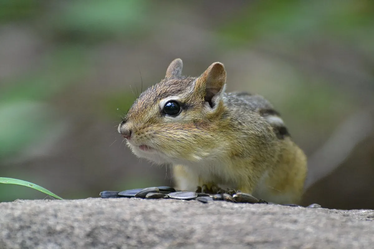 How to Visit Belém on Foot: A Complete Walking Guide