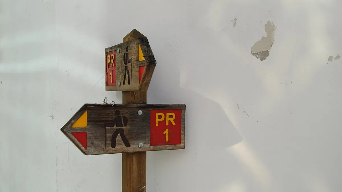 1-Day Nazare Walking Tour for Families in Portugal