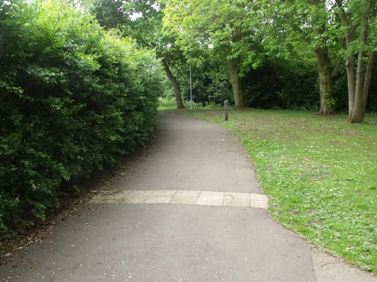 10 Best Easy Walking Paths in Pinhão, Portugal