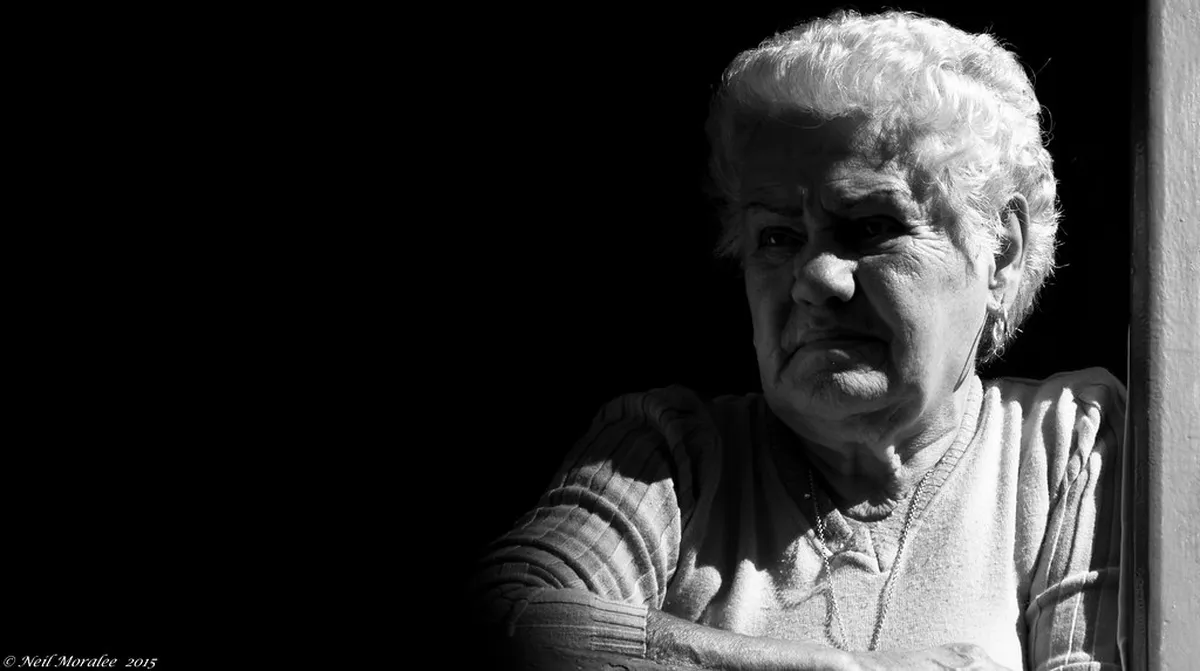 How to Book Porto Free Tours: 2026 Budget Guide