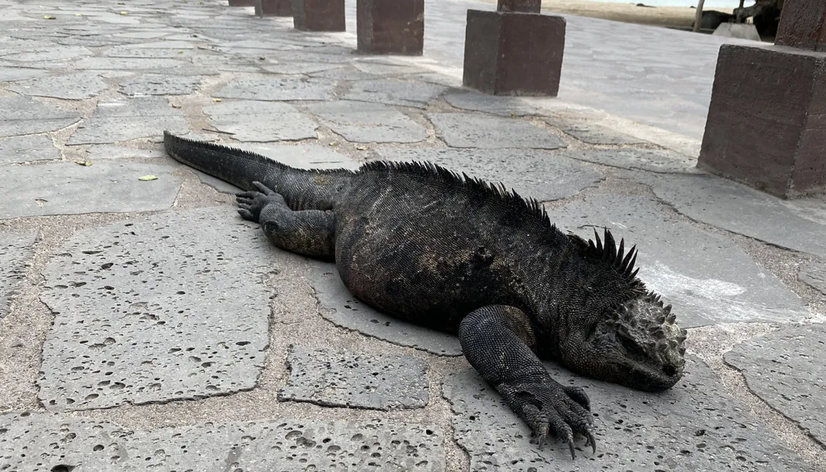 How to Find Porto Meeting Points: A Complete 2026 Guide