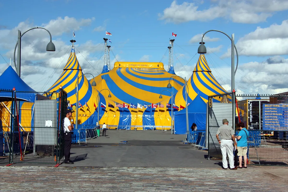 10 Highlights of a Themed Porto Street Art Tour