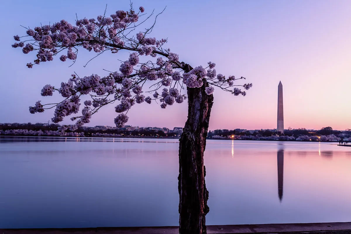 Tipping for Free Tours in Sagres: A Budget Guide