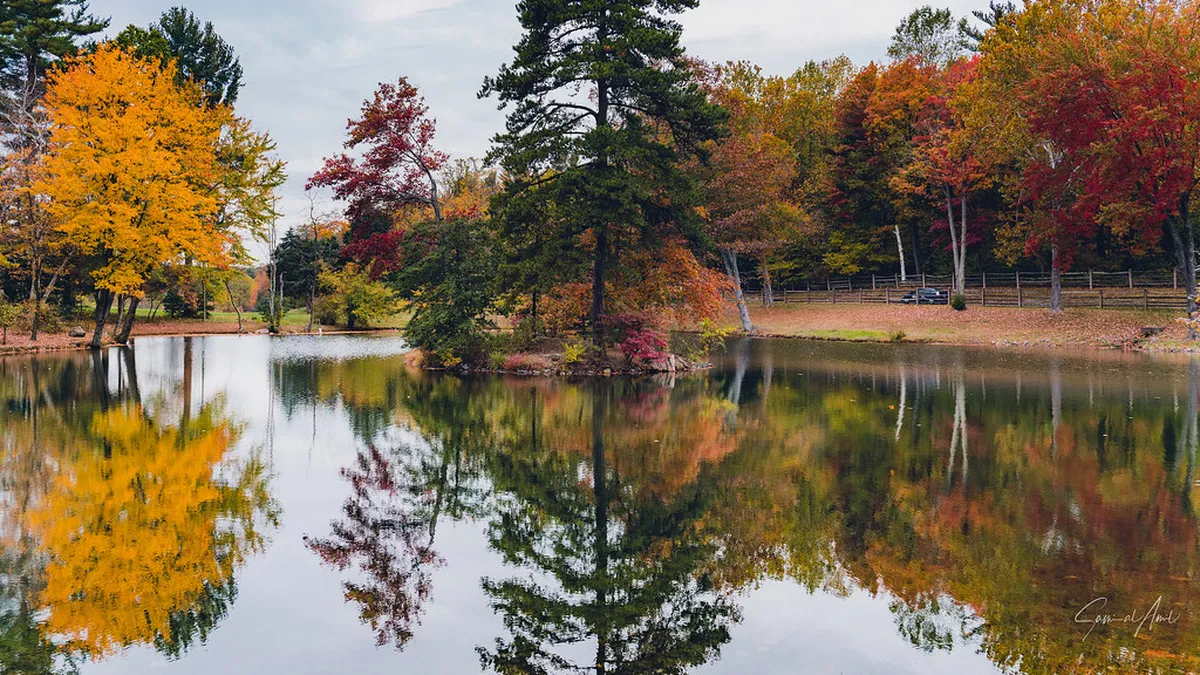 Best Time for Silves Walking Tours: Seasonal Guide