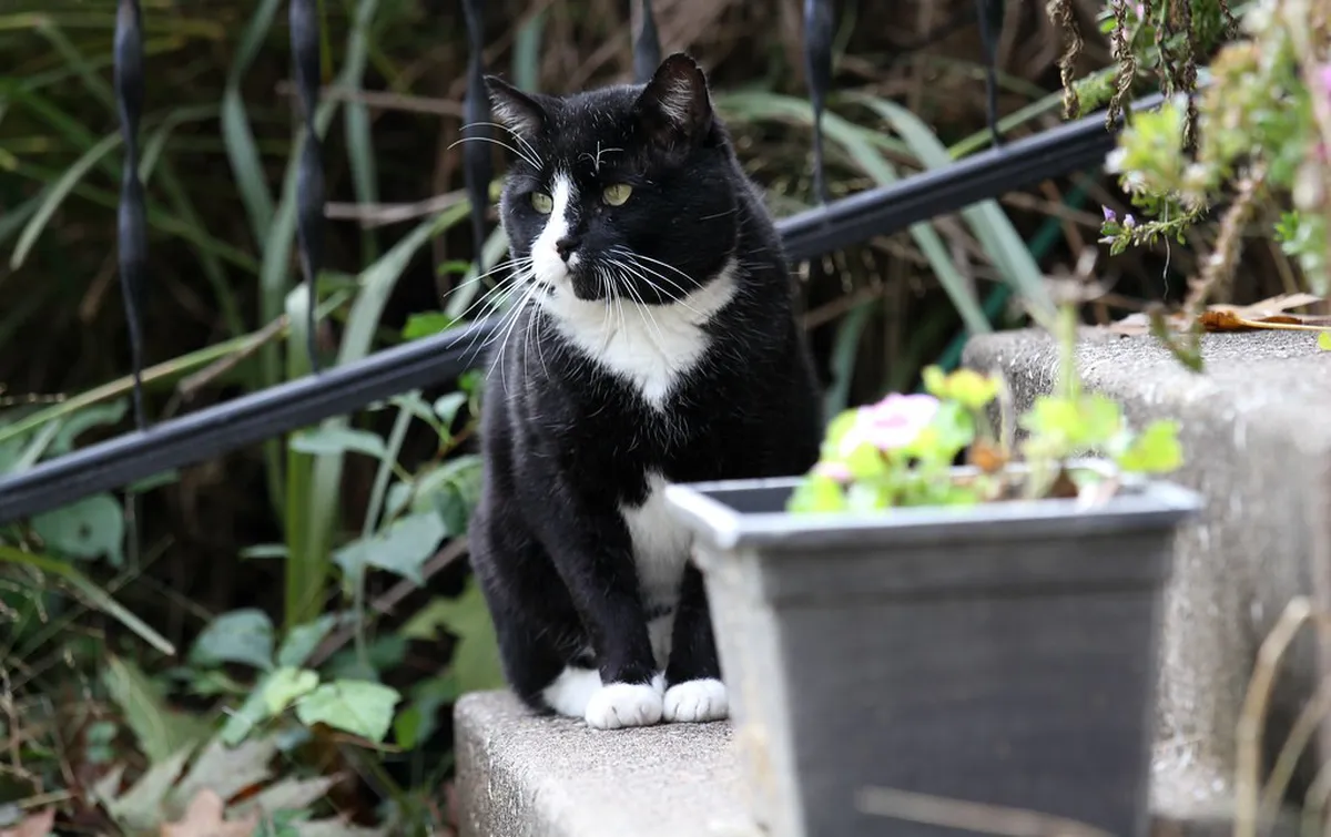 What to Wear for Walking in Sintra: 10 Essential Sight Tips