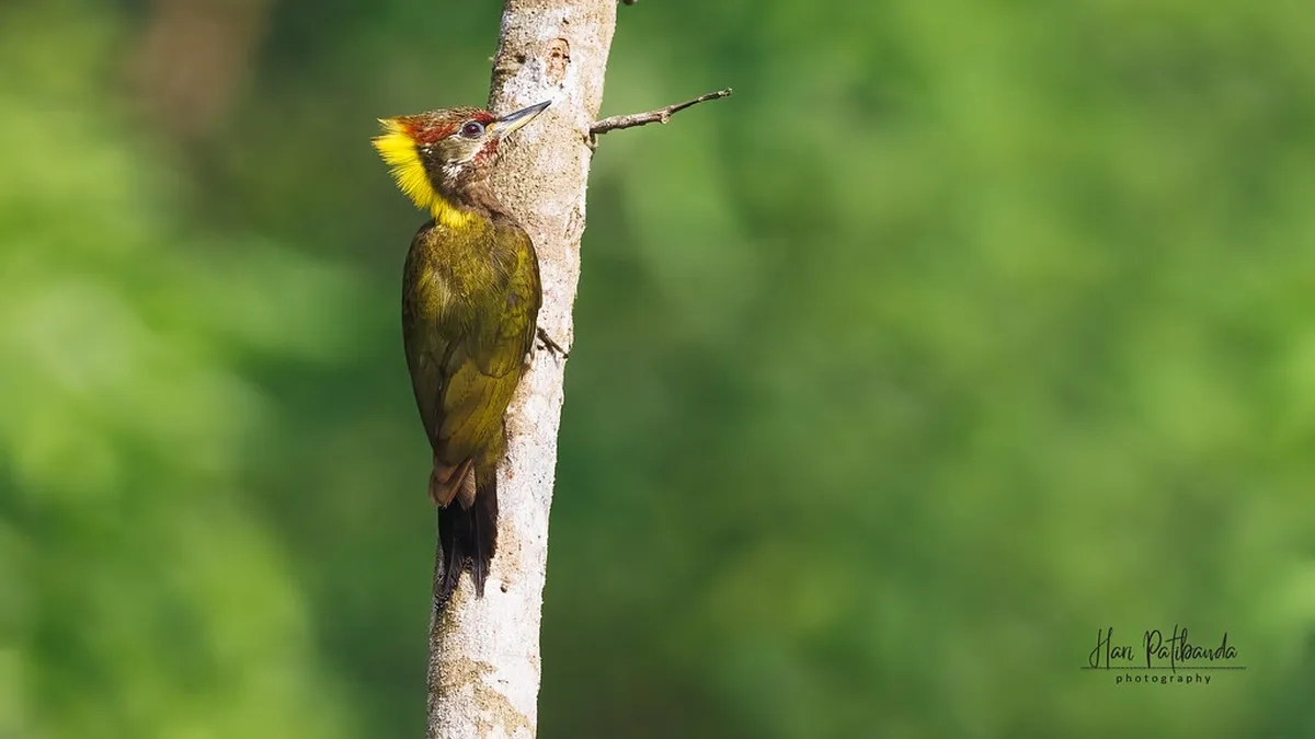 Duration of Tomar Historic Center Tours: Top 10 Picks