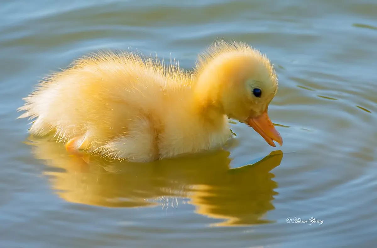 Tips for Finding the Viseu Tour Meeting Point